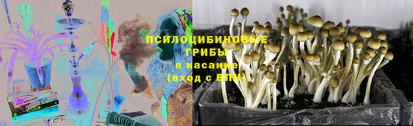 твердый Дедовск