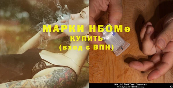 соль ск Бородино