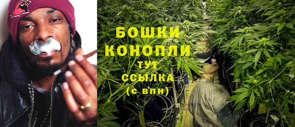 ПСИЛОЦИБИНОВЫЕ ГРИБЫ Волоколамск