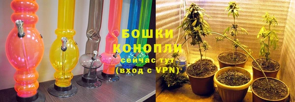 соль ск Бородино