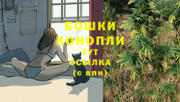 соль ск Бородино