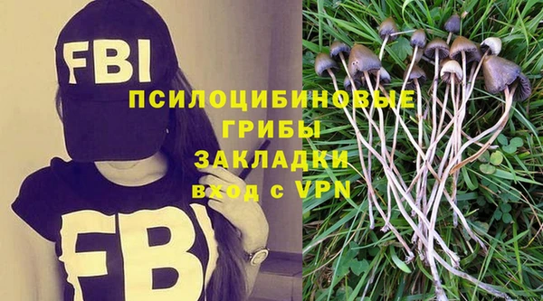 шишки Дубовка