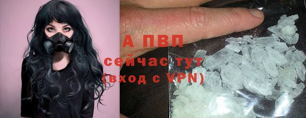ПСИЛОЦИБИНОВЫЕ ГРИБЫ Волоколамск