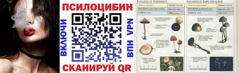 Галлюциногенные грибы ЛСД Наро-Фоминск