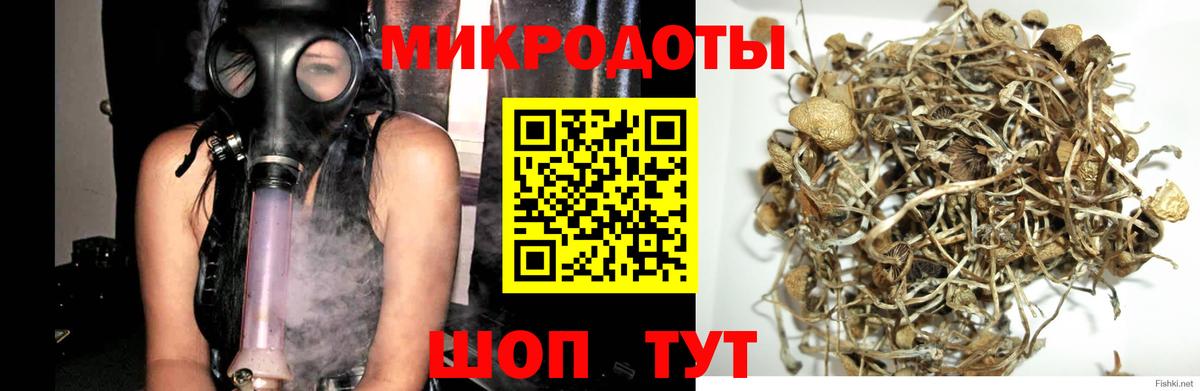 Наро-Фоминск  Псилоцибиновые грибы ЛСД  Псилоцибиновые грибы прущие грибы  Вход с VPN 